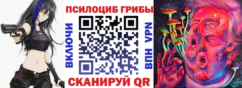 купить наркотик  Семёнов  Галлюциногенные грибы Psilocybine cubensis 